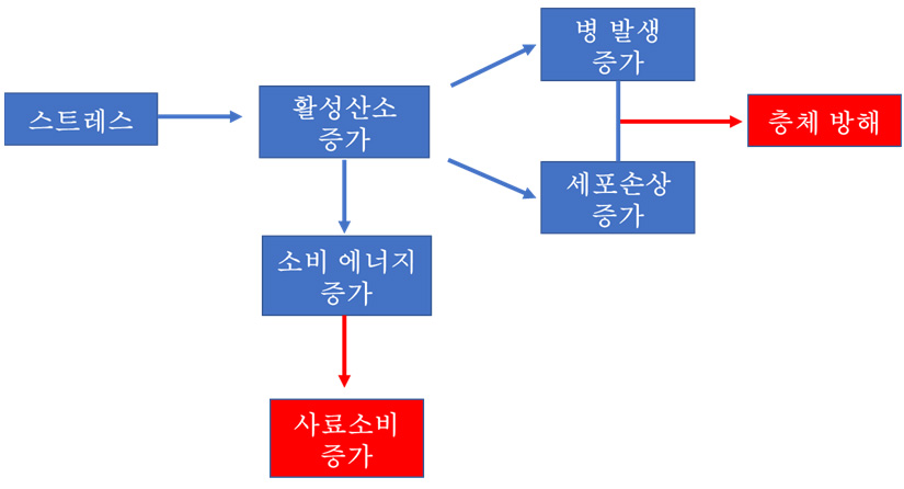 바이오비타 (동물건강)